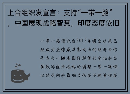 上合组织发宣言：支持“一带一路”，中国展现战略智慧，印度态度依旧保守
