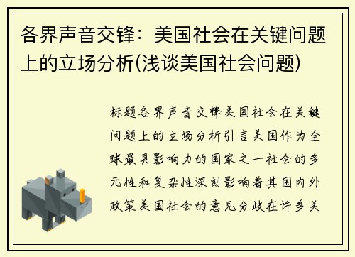 各界声音交锋：美国社会在关键问题上的立场分析(浅谈美国社会问题)